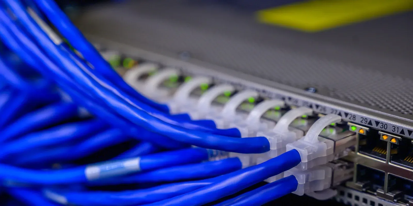 Blaue Netzwerkkabel an einem Switch im Rechenzentrum